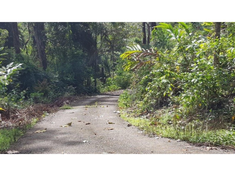 63 Old Forest Creek Road, Daintree QLD 4873