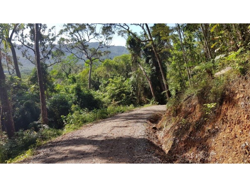 63 Old Forest Creek Road, Daintree QLD 4873