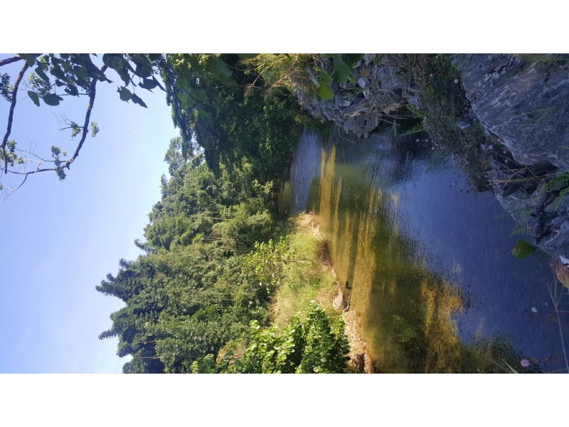 666 Whyanbeel Road, Whyanbeel QLD 4873