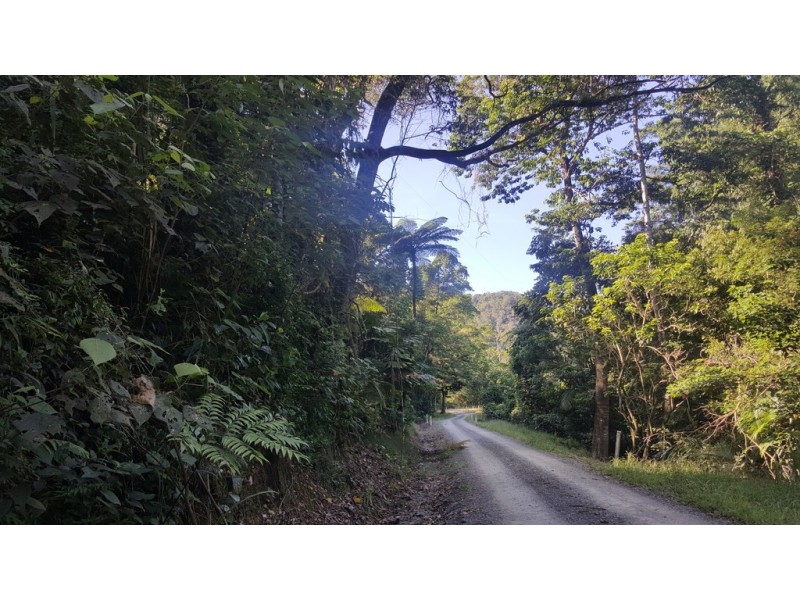 666 Whyanbeel Road, Whyanbeel QLD 4873
