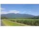 666 Whyanbeel Road, Whyanbeel QLD 4873
