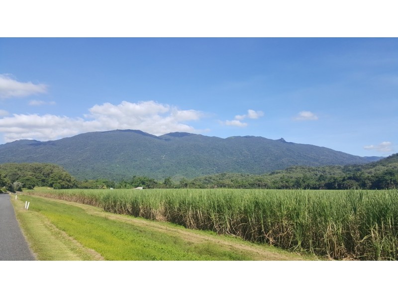 666 Whyanbeel Road, Whyanbeel QLD 4873