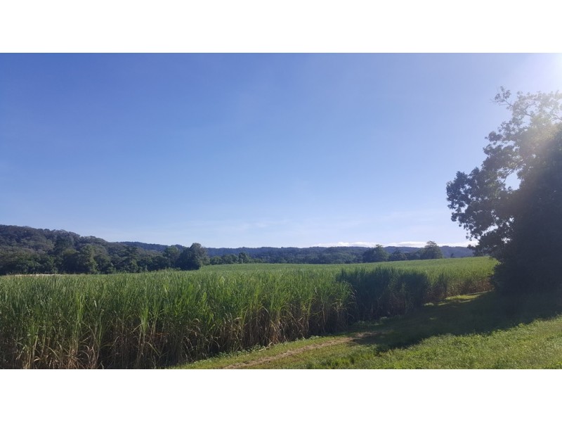 666 Whyanbeel Road, Whyanbeel QLD 4873