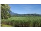 666 Whyanbeel Road, Whyanbeel QLD 4873