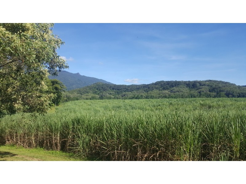 666 Whyanbeel Road, Whyanbeel QLD 4873