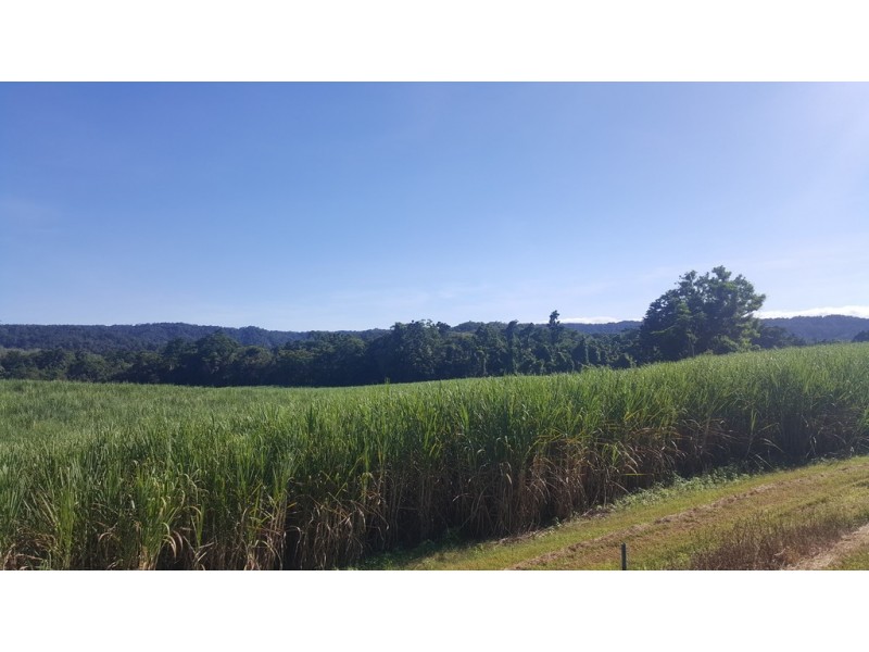 666 Whyanbeel Road, Whyanbeel QLD 4873