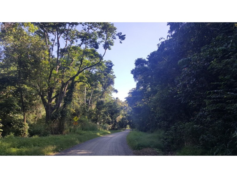 666 Whyanbeel Road, Whyanbeel QLD 4873