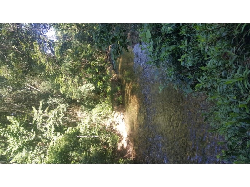 666 Whyanbeel Road, Whyanbeel QLD 4873