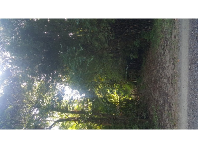 666 Whyanbeel Road, Whyanbeel QLD 4873