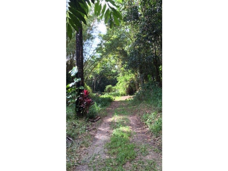 666 Whyanbeel Road, Whyanbeel QLD 4873