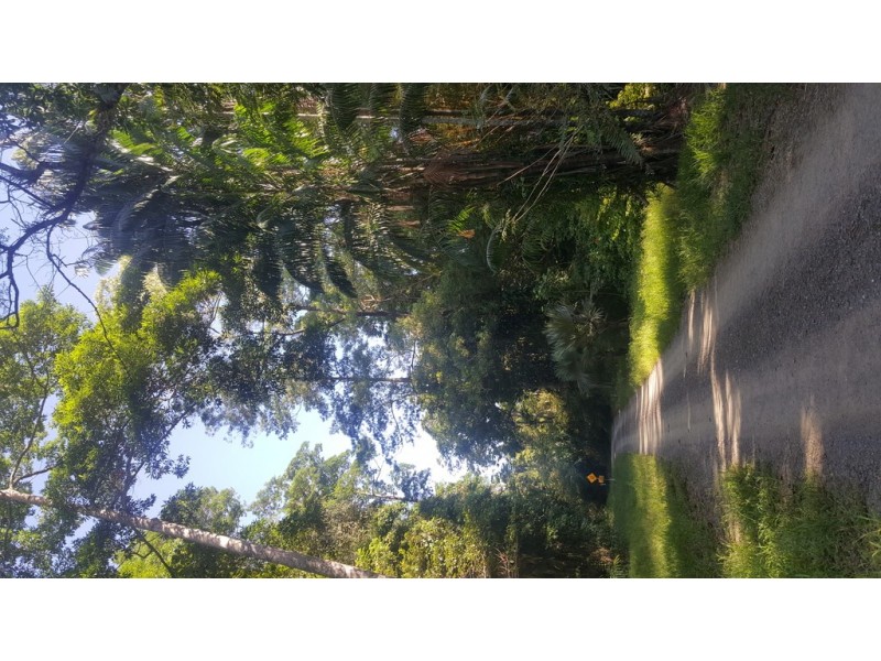 666 Whyanbeel Road, Whyanbeel QLD 4873