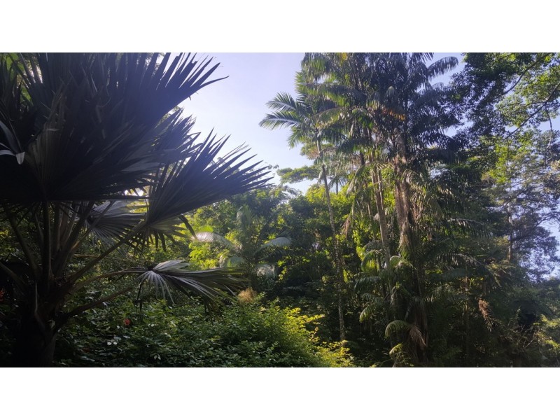 666 Whyanbeel Road, Whyanbeel QLD 4873