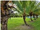 Lot 6 McDowall Lane, Lower Daintree QLD 4873