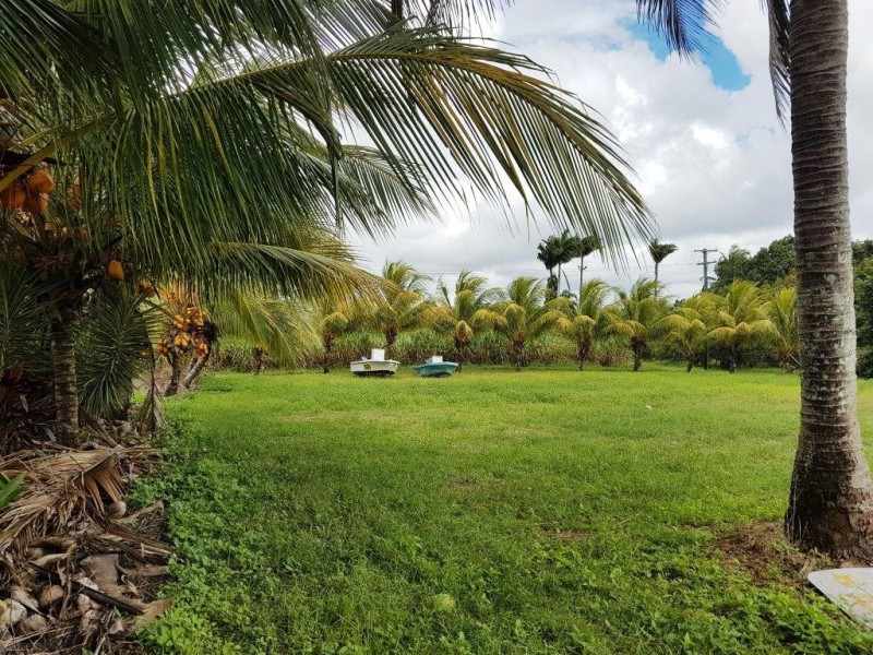 Lot 6 McDowall Lane, Lower Daintree QLD 4873