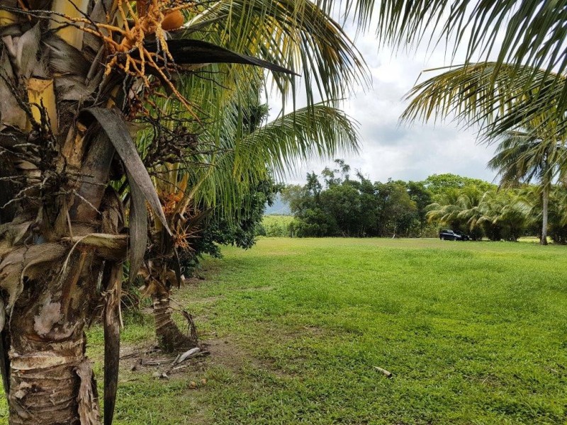 Lot 6 McDowall Lane, Lower Daintree QLD 4873