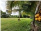 Lot 6 McDowall Lane, Lower Daintree QLD 4873
