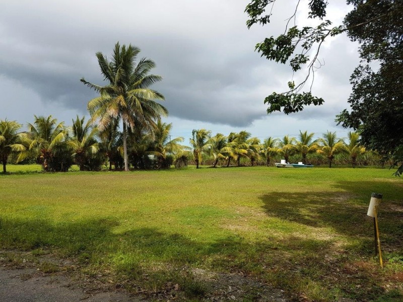 Lot 6 McDowall Lane, Lower Daintree QLD 4873