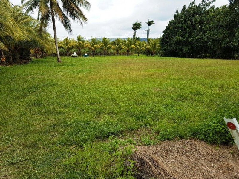 Lot 6 McDowall Lane, Lower Daintree QLD 4873