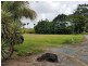 Lot 6 McDowall Lane, Lower Daintree QLD 4873