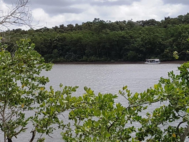 Lot 6 McDowall Lane, Lower Daintree QLD 4873