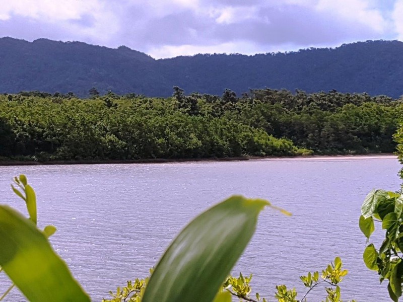 Lot 6 McDowall Lane, Lower Daintree QLD 4873