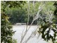 Lot 6 McDowall Lane, Lower Daintree QLD 4873