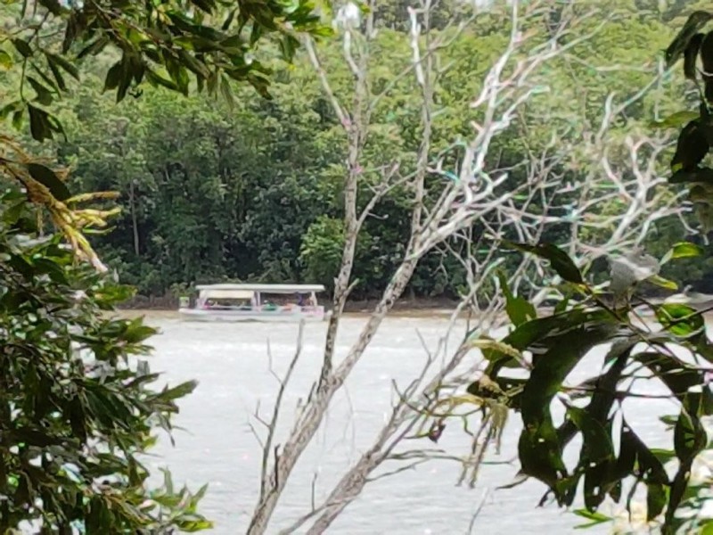 Lot 6 McDowall Lane, Lower Daintree QLD 4873