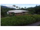 120 Ronald Road, Daintree QLD 4873