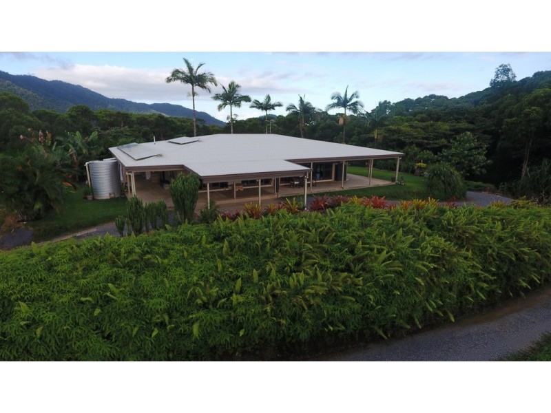 120 Ronald Road, Daintree QLD 4873