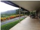 120 Ronald Road, Daintree QLD 4873