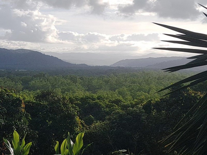 120 Ronald Road, Daintree QLD 4873