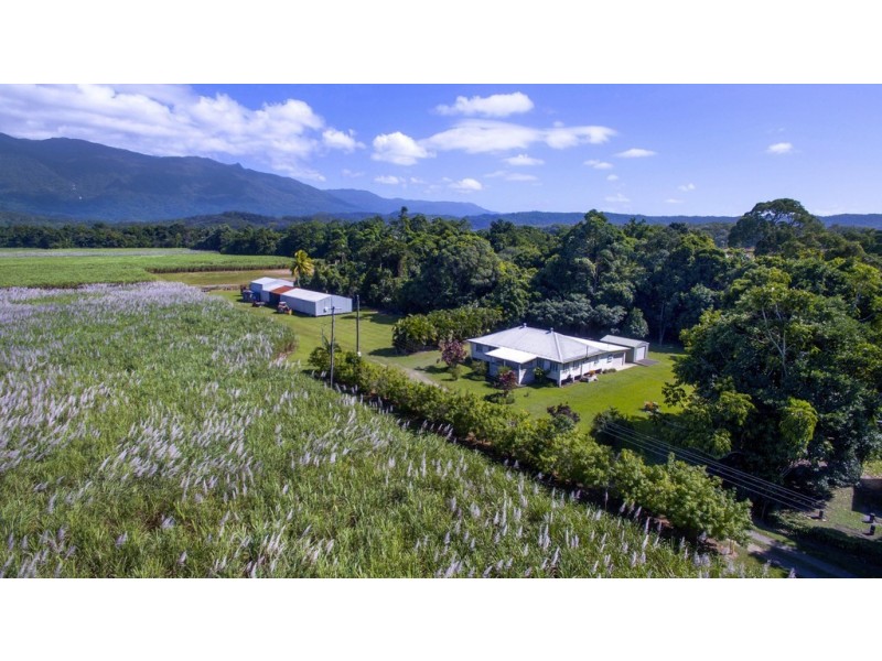 127 Miallo Road, Miallo QLD 4873