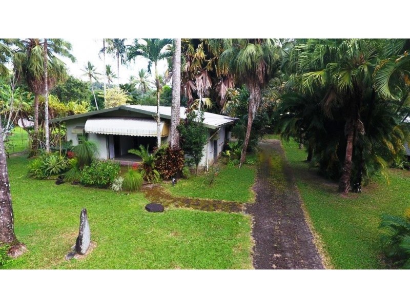 4 Douglas Street, Daintree QLD 4873