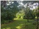 4 Douglas Street, Daintree QLD 4873
