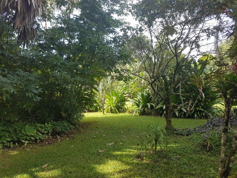 4 Douglas Street, Daintree QLD 4873