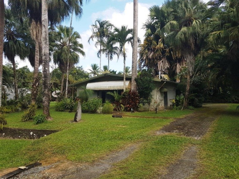 4 Douglas Street, Daintree QLD 4873