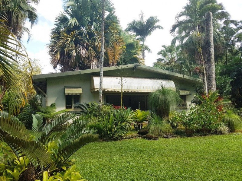 4 Douglas Street, Daintree QLD 4873