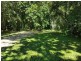 20 Spurwood Road, Daintree QLD 4873