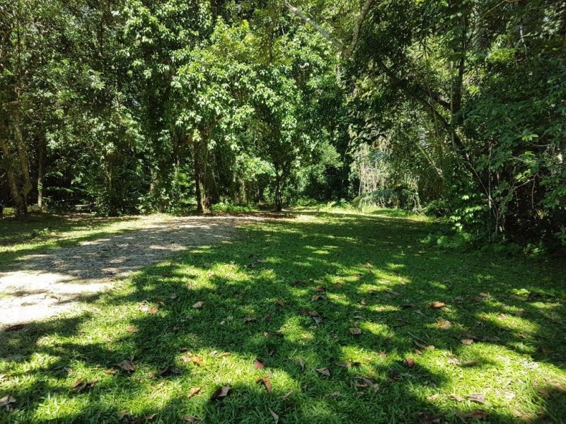 20 Spurwood Road, Daintree QLD 4873