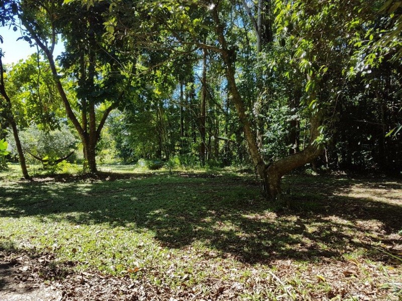 20 Spurwood Road, Daintree QLD 4873