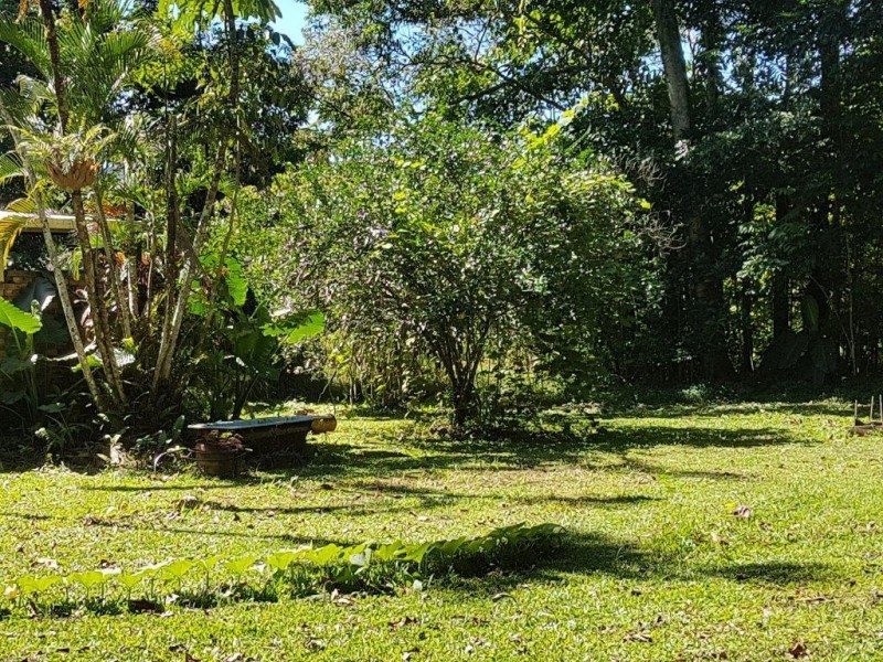 20 Spurwood Road, Daintree QLD 4873