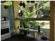 20 Spurwood Road, Daintree QLD 4873