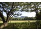 44 Borzi Road, Shannonvale QLD 4873