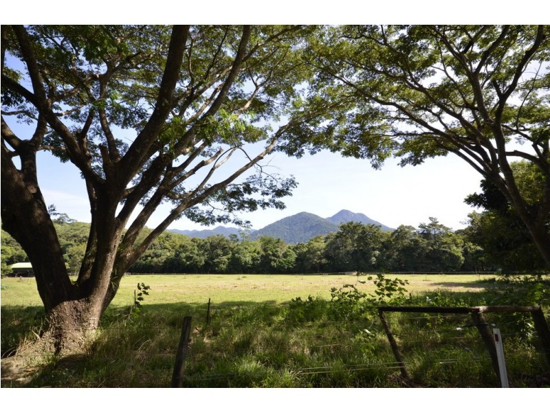 44 Borzi Road, Shannonvale QLD 4873