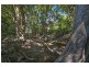 44 Borzi Road, Shannonvale QLD 4873