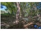 44 Borzi Road, Shannonvale QLD 4873