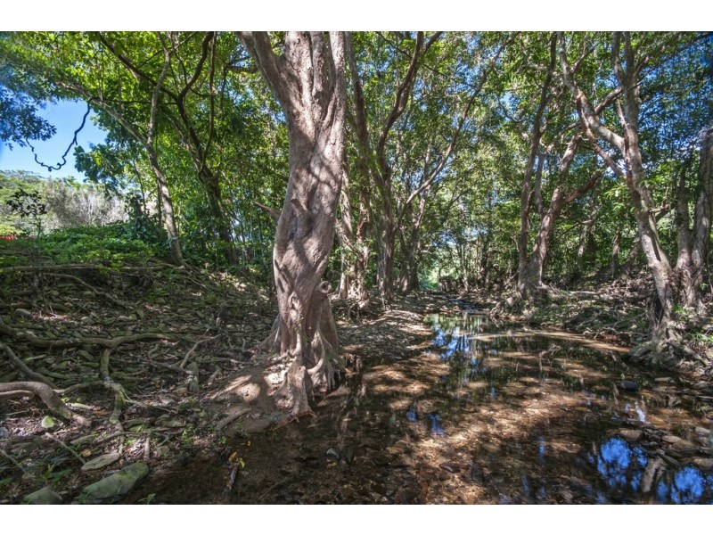 44 Borzi Road, Shannonvale QLD 4873