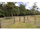 44 Borzi Road, Shannonvale QLD 4873