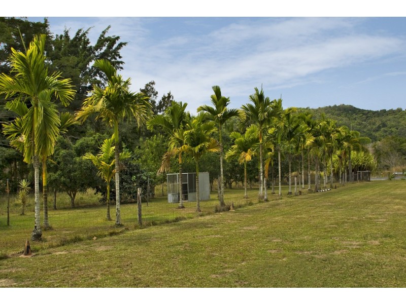 44 Borzi Road, Shannonvale QLD 4873