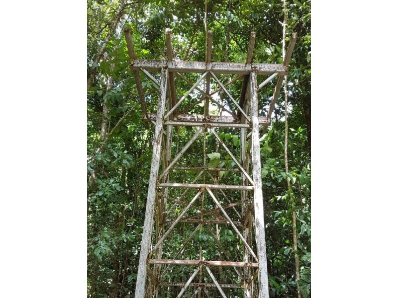 53 Carbeen Rd Diwan, Daintree QLD 4873